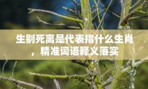 生别死离是代表指什么生肖，精准词语释义落实