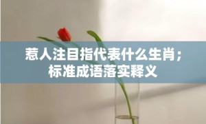 惹人注目指代表什么生肖；标准成语落实释义