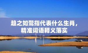 趋之如鹜指代表什么生肖，精准词语释义落实