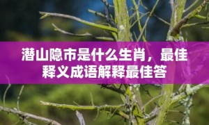 潜山隐市是什么生肖，最佳释义成语解释最佳答