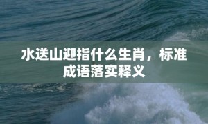 水送山迎指什么生肖，标准成语落实释义