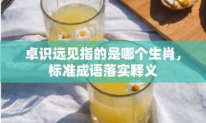 卓识远见指的是哪个生肖，标准成语落实释义