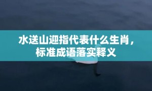 水送山迎指代表什么生肖，标准成语落实释义