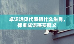 卓识远见代表指什么生肖，标准成语落实释义