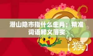 潜山隐市指什么生肖；精准词语释义落实