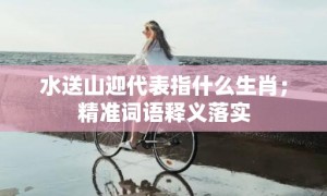 水送山迎代表指什么生肖；精准词语释义落实