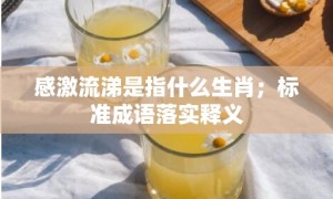 感激流涕是指什么生肖；标准成语落实释义