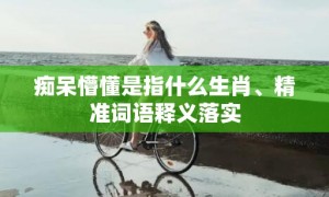 痴呆懵懂是指什么生肖、精准词语释义落实