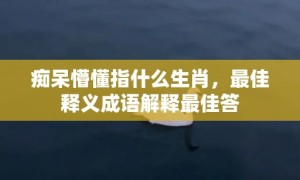 痴呆懵懂指什么生肖，最佳释义成语解释最佳答