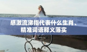 感激流涕指代表什么生肖、精准词语释义落实