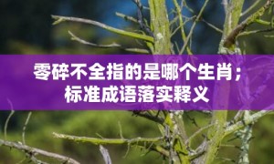 零碎不全指的是哪个生肖；标准成语落实释义