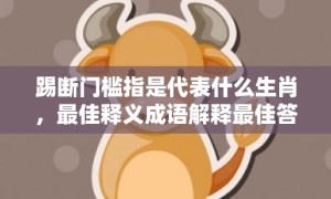 踢断门槛指是代表什么生肖，最佳释义成语解释最佳答