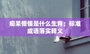 痴呆懵懂是什么生肖；标准成语落实释义