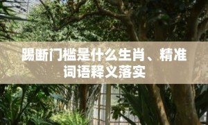 踢断门槛是什么生肖、精准词语释义落实