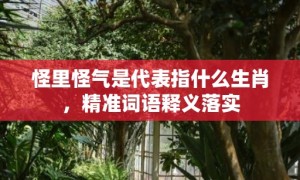 怪里怪气是代表指什么生肖，精准词语释义落实