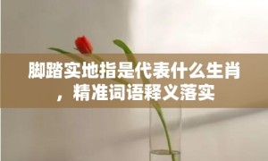 脚踏实地指是代表什么生肖，精准词语释义落实