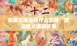 脚踏实地是指什么生肖，成语释义揭晓答案