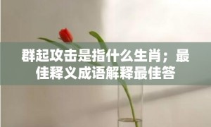 群起攻击是指什么生肖；最佳释义成语解释最佳答