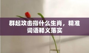 群起攻击指什么生肖，精准词语释义落实