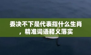 委决不下是代表指什么生肖，精准词语释义落实