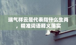 瑞气祥云是代表指什么生肖，精准词语释义落实