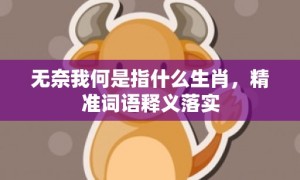 无奈我何是指什么生肖，精准词语释义落实