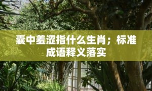 囊中羞涩指什么生肖；标准成语释义落实