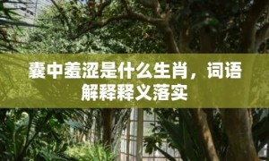 囊中羞涩是什么生肖，词语解释释义落实