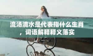 流汤滴水是代表指什么生肖，词语解释释义落实