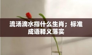 流汤滴水指什么生肖；标准成语释义落实