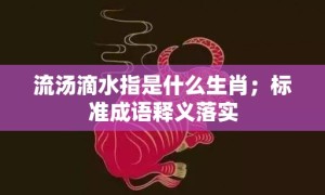 流汤滴水指是什么生肖；标准成语释义落实