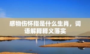 感物伤怀指是什么生肖，词语解释释义落实