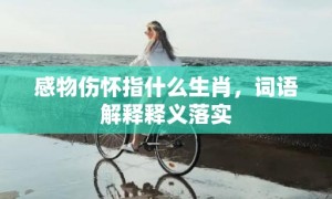 感物伤怀指什么生肖，词语解释释义落实