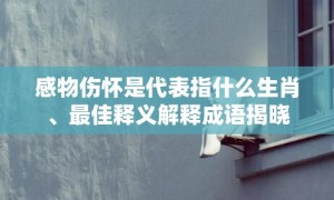 感物伤怀是代表指什么生肖、最佳释义解释成语揭晓