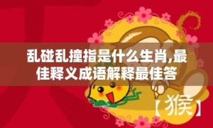 乱碰乱撞指是什么生肖,最佳释义成语解释最佳答