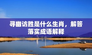 寻幽访胜是什么生肖，解答落实成语解释