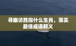 寻幽访胜指什么生肖，落实最佳成语释义