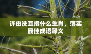 许由洗耳指什么生肖，落实最佳成语释义