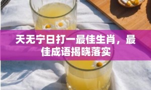 天无宁日打一最佳生肖，最佳成语揭晓落实