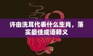 许由洗耳代表什么生肖，落实最佳成语释义