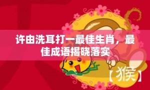 许由洗耳打一最佳生肖，最佳成语揭晓落实