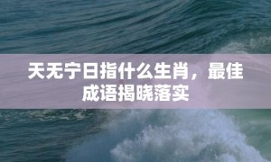 天无宁日指什么生肖，最佳成语揭晓落实