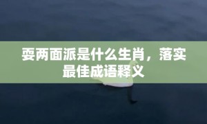 耍两面派是什么生肖，落实最佳成语释义