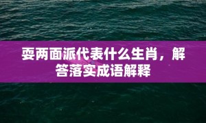 耍两面派代表什么生肖，解答落实成语解释