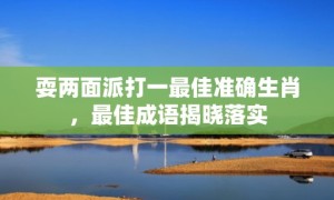 耍两面派打一最佳准确生肖，最佳成语揭晓落实