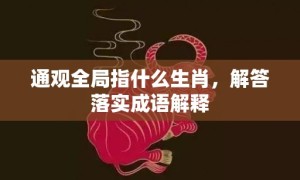 通观全局指什么生肖，解答落实成语解释