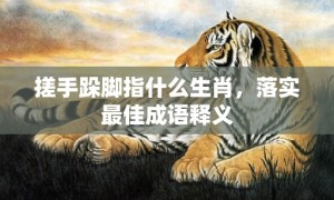 搓手跺脚指什么生肖，落实最佳成语释义
