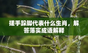 搓手跺脚代表什么生肖，解答落实成语解释