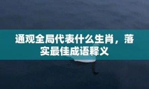 通观全局代表什么生肖，落实最佳成语释义