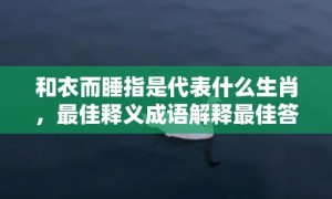 和衣而睡指是代表什么生肖，最佳释义成语解释最佳答